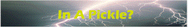 vugif.gif (40529 bytes)